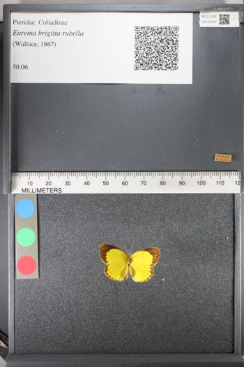 Media type: image;   Entomology 122347